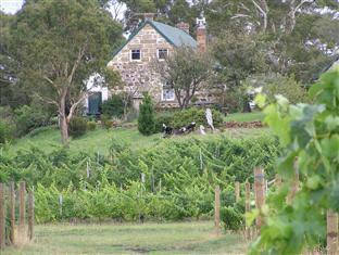Craigie Knowe Cottage  Vineyard