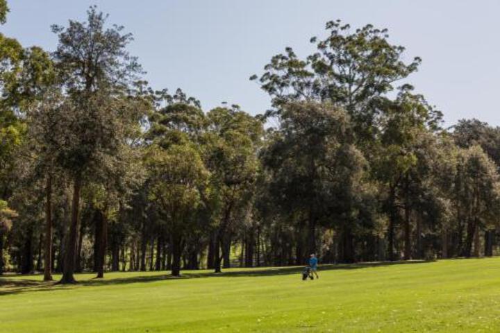 Golfers Retreat Mollymook