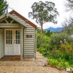 ALSACE HEALESVILLE