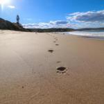 Surfers Paradise at Catherine Hill Bay