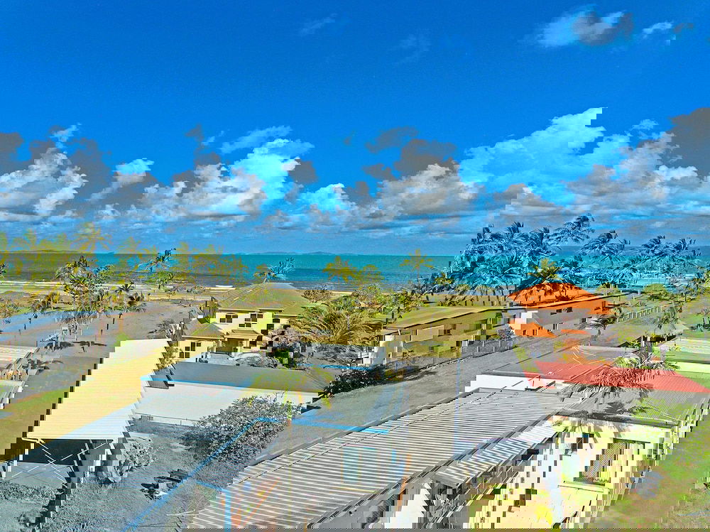 Driftwood On The Beach