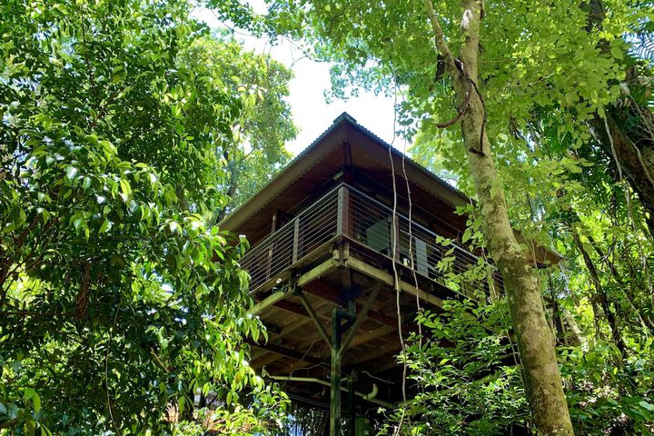 Cairns Rainforest Retreat