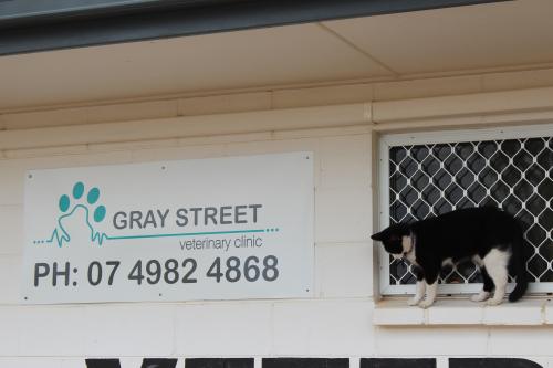 Gray Street Veterinary Clinic