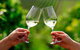 Winnellie Cellars - thumb 0