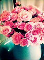 Amor Wedding Stylists  Decorators