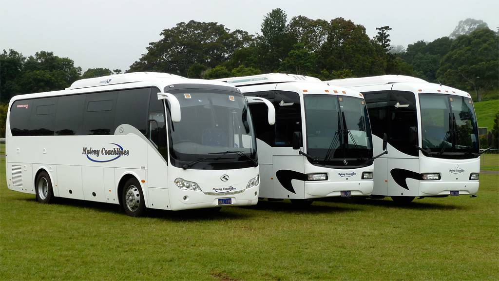 Maleny Coachlines