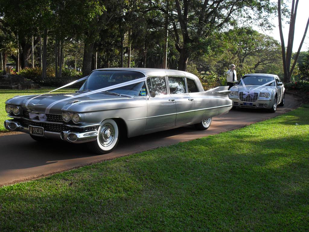 Red Carpet Transport Services
