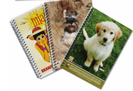 Gainsborough Graphics