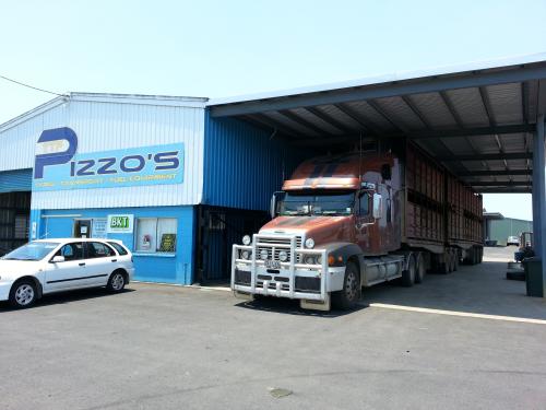 Pizzos TTF