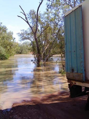 Nighthawk Transport - Dentist Find 1