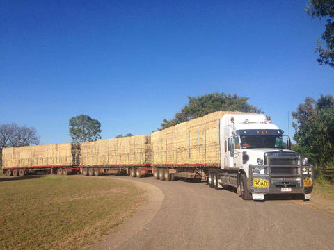 Nighthawk Transport - Dentist Find 2