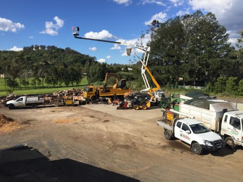 Cubis SteveLismore/Evans Head Tree Services