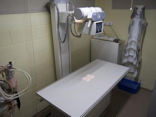 Mount Isa Veterinary Surgery