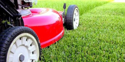 Geoffs Lawn Mowing Garden Services