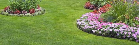 Geoff’s Lawn Mowing & Garden Services - Dentists Australia 3