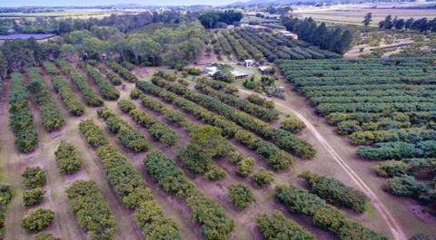 Bill Micola - Dentist Find 0