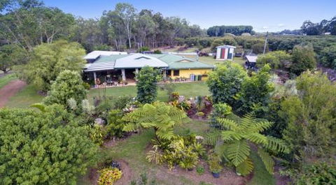 Bill Micola - Dentist Find 1