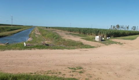 Bill Micola - Dentist Find 3