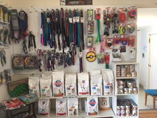 Tweed Coast Vet - Dentist Search 1