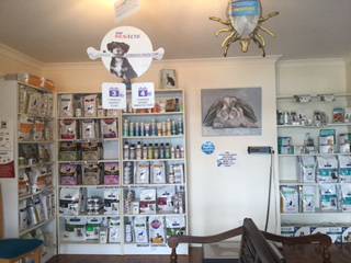 Tweed Coast Vet - Dentist Search 2