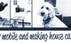 Tweed Coast Vet - thumb 3