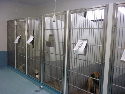 Marlin Coast Veterinary Hospital