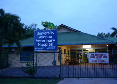 University Avenue Veterinary Hospital - Dentist Find 1