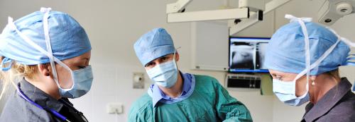 Ourimbah Veterinary Hospital