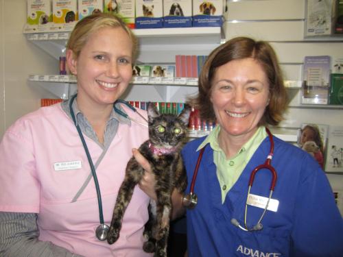Andergrove Veterinary Clinic