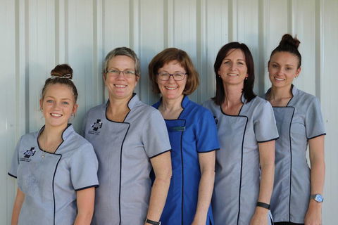 Andergrove Veterinary Clinic - Dentist Search 2