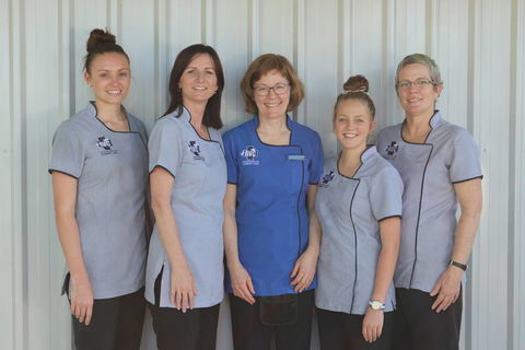 Andergrove Veterinary Clinic - Dentist Search 3