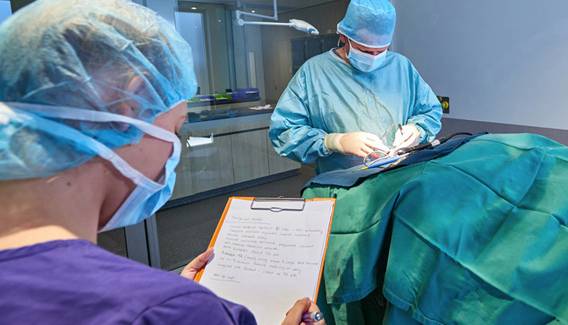 Armstrong Hannah Veterinary