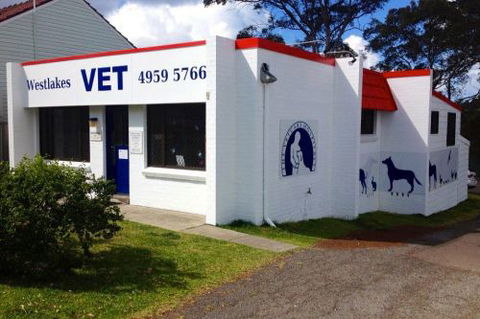 Westlakes Vet Hospital - Dentist Find 0