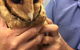 Motto Farm Veterinary Hospital - thumb 0