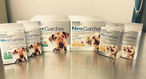 Motto Farm Veterinary Hospital - Dentist Find 1