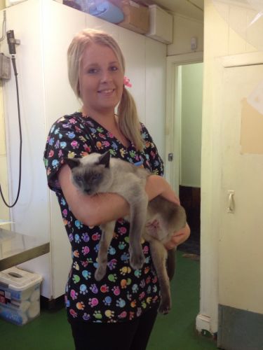 Raymond Terrace Veterinary Clinic