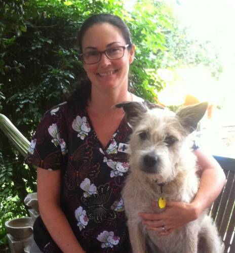 Yandina QLD Dentist Find