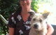 Yandina Vet Clinic - thumb 0