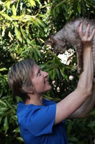 Yandina Vet Clinic - Dentist Find 2