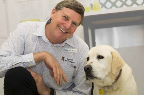 Coolum Veterinary Surgery - Dentist Search 1