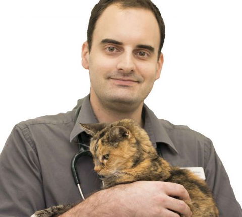 Coolum Veterinary Surgery - Dentist Search 2