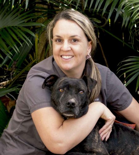 Coolum Veterinary Surgery - Dentist Search 3