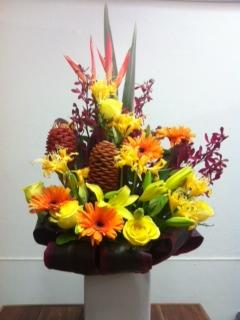 The Garden Florist - Dentist Search 0