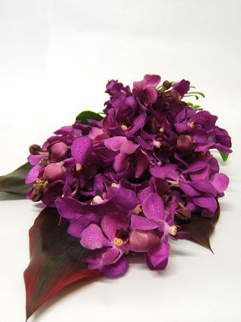 The Garden Florist - Dentist Search 1