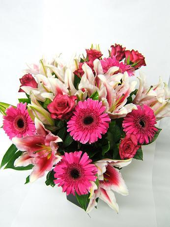 The Garden Florist - Dentist Search 2
