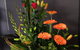 Lakes Creek Florist - thumb 10