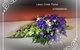 Lakes Creek Florist - thumb 11