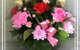 Lakes Creek Florist - thumb 20