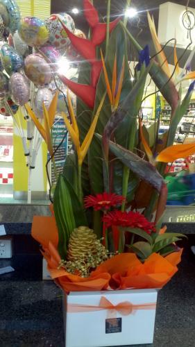 Kawana FloristCotton Tree House of Flowers