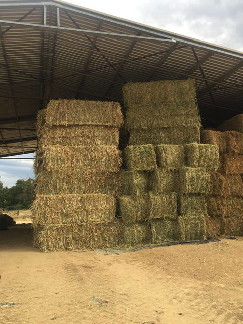 P & D Rumbel Contracting - Dentist Find 0